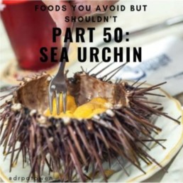 Foods you avoid BUT SHOULDN'T! PART 50: SEA URCHIN